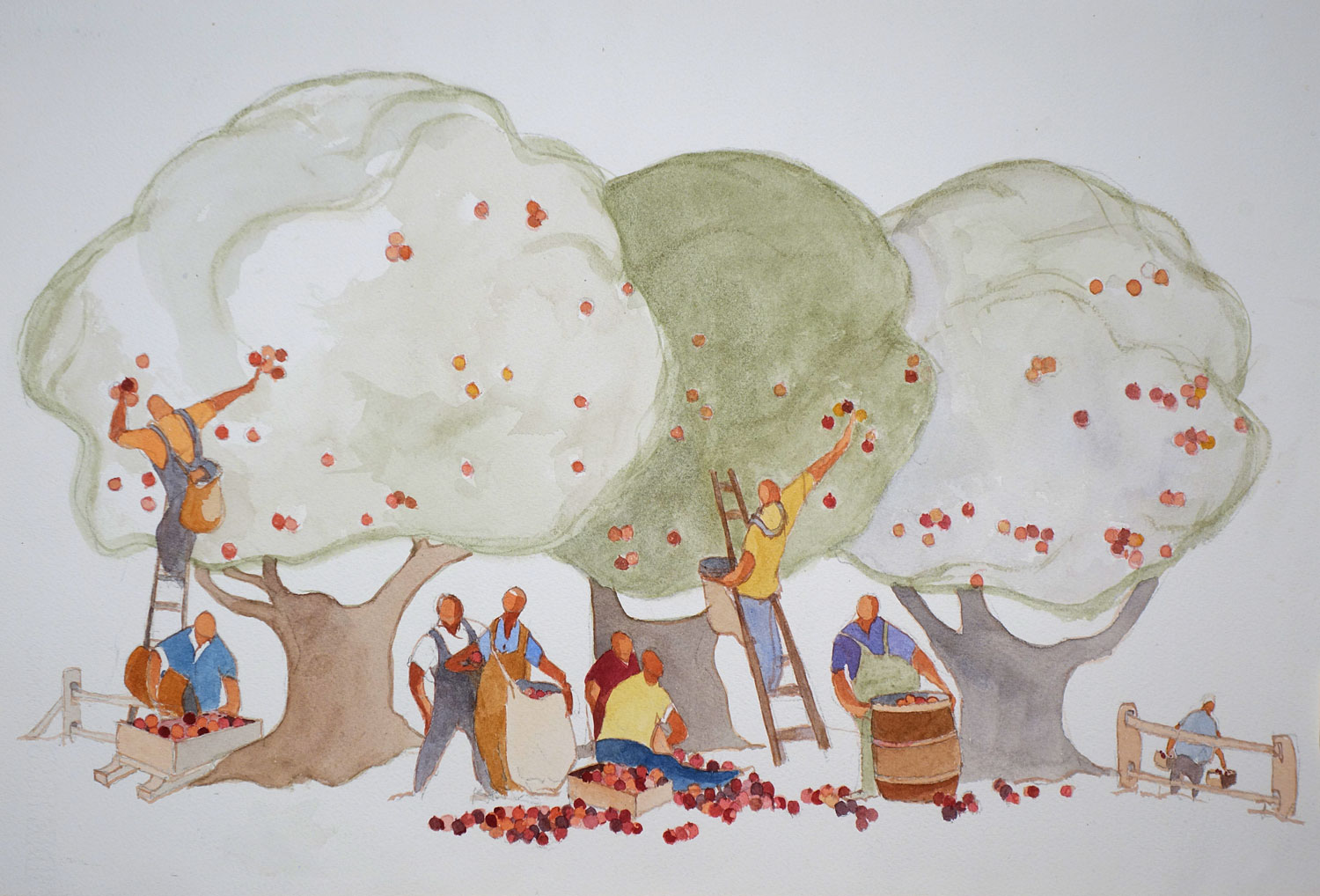 Farm Apple Orchard 2